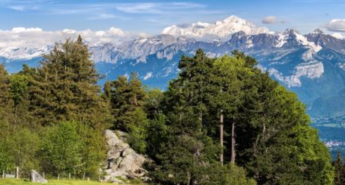 Sortie archéologie et botanique &quot;Le Salève, une montagne pleine de ressources&quot;