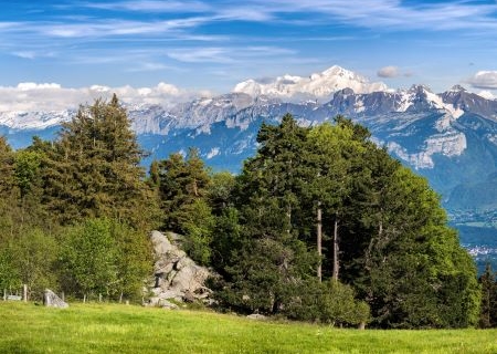 Sortie archéologie et botanique &quot;Le Salève, une montagne pleine de ressources&quot;