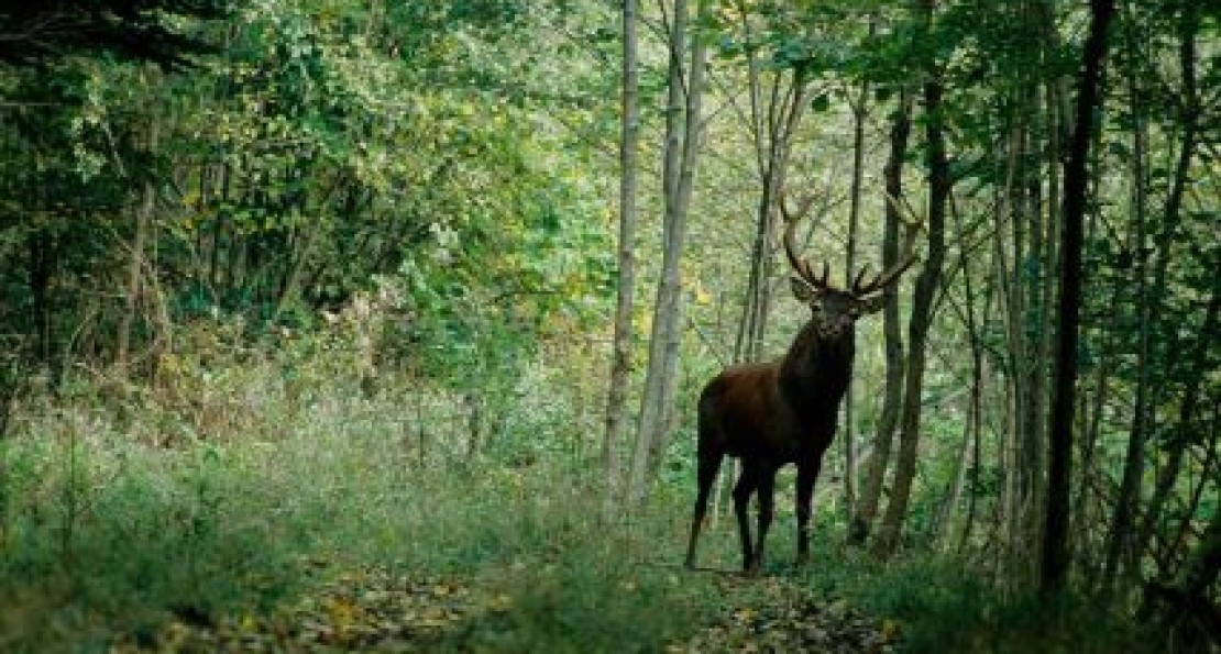 Balade nature et légendes