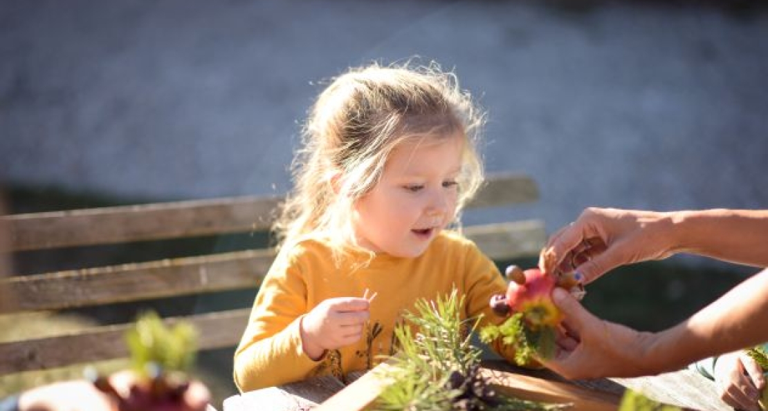 Jouets nature