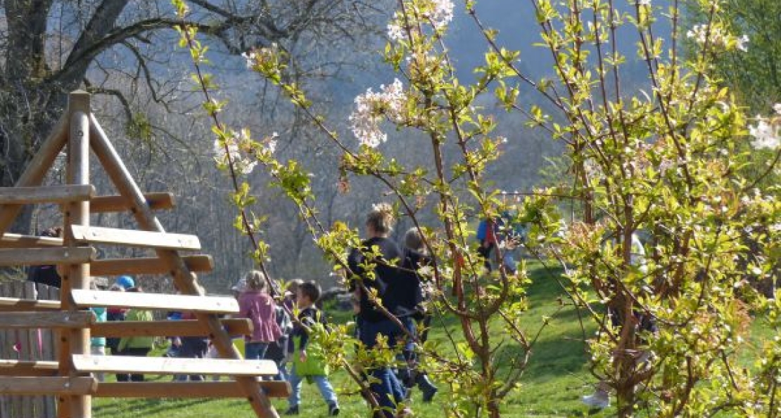 Réveil du printemps