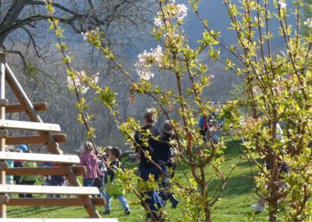 Réveil du printemps