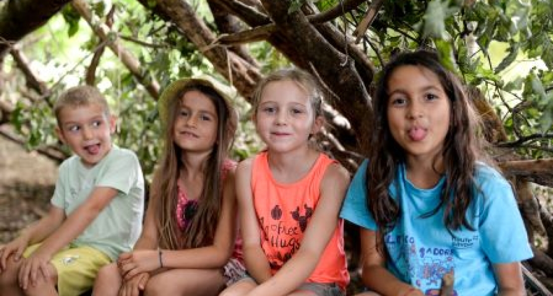 Construction de cabane