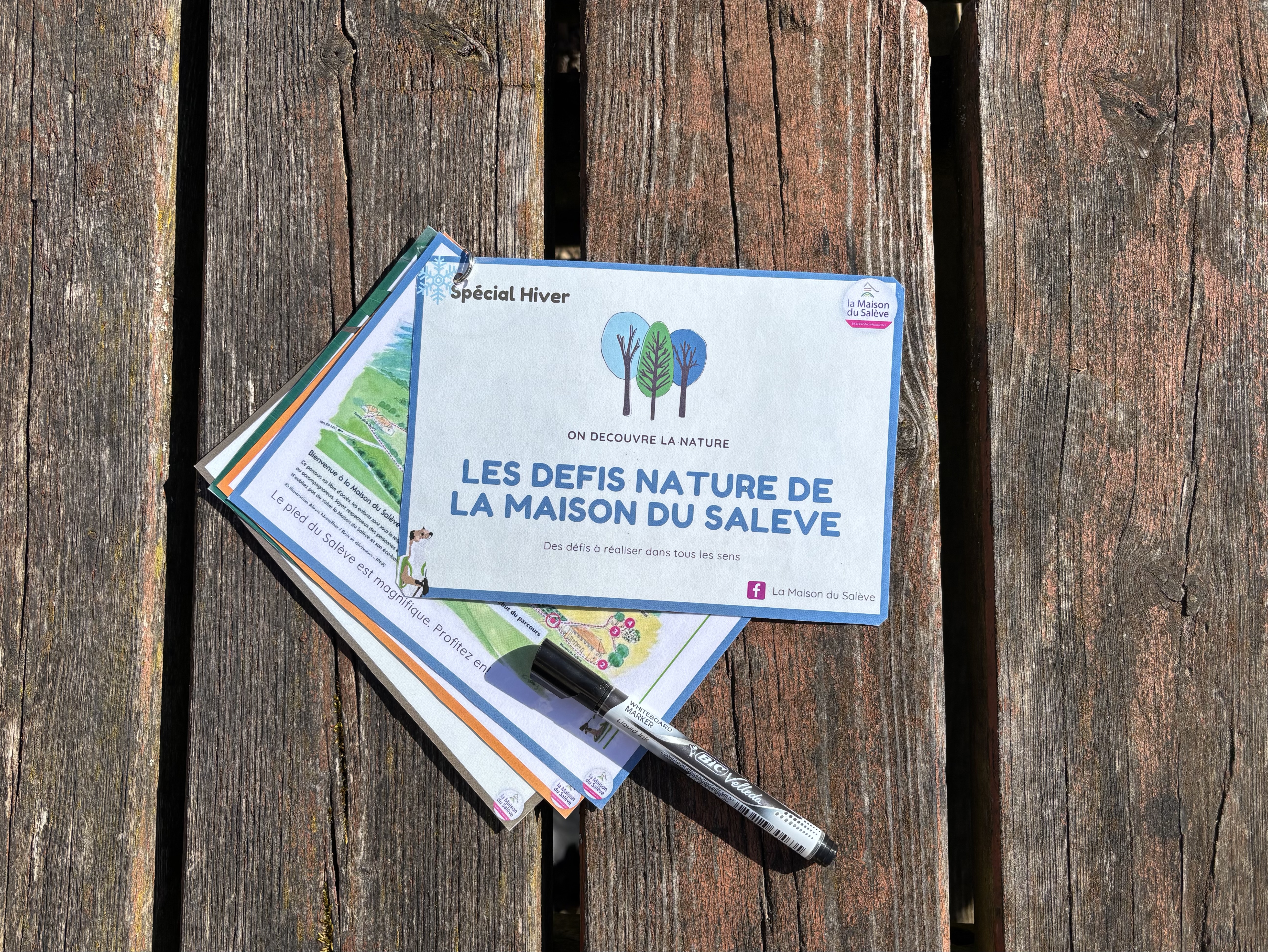 Visites panoramiques du Salève