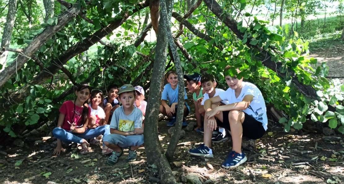 Construction de cabane