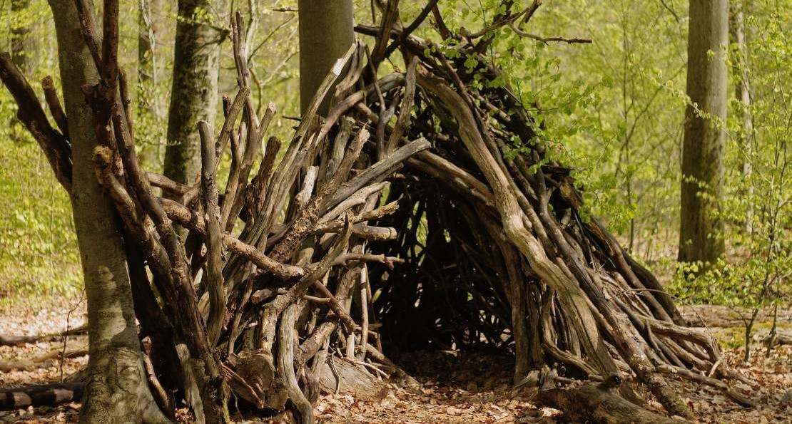 Construction de cabane