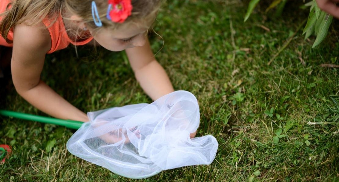 Chasse aux insectes pour les petits