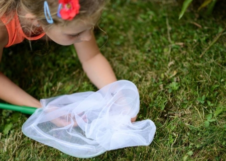 Chasse aux insectes pour les petits