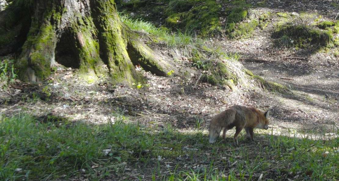 Dans ma maison il y a...