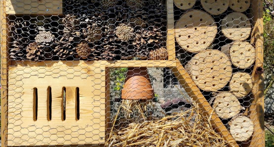 Refuge et biodiversité 