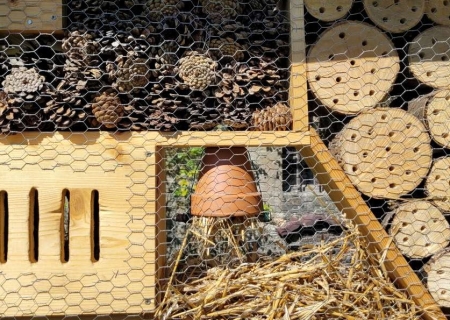 Refuge et biodiversité 
