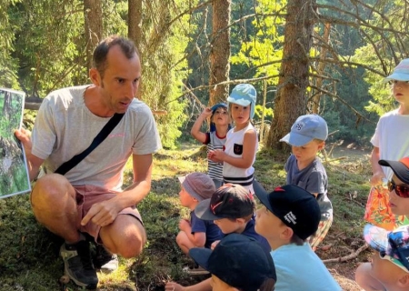 Repor'terre de la forêt