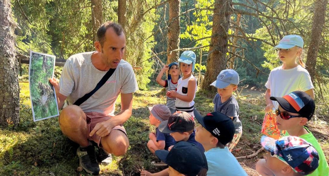 Repor'terre de la forêt