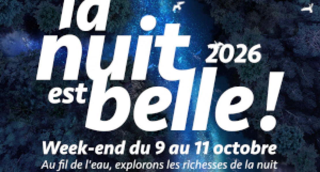 La nuit est belle ! (2/2)