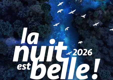 La nuit est belle ! (1/2)
