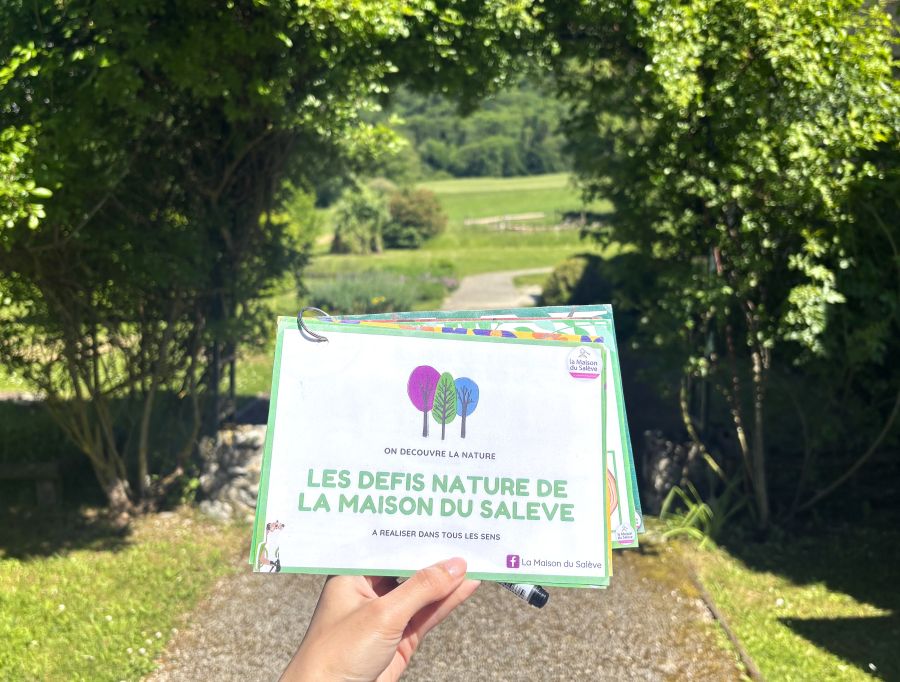 Visites panoramiques du Salève