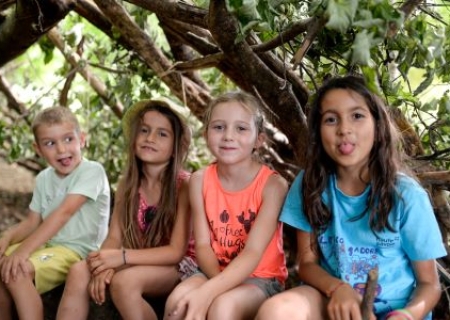 Construction de cabane