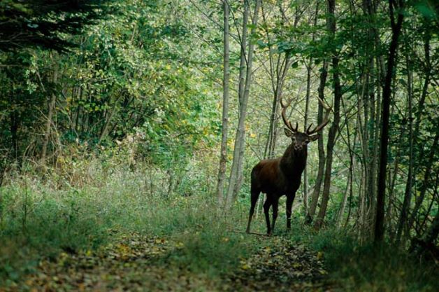Balade nature et légendes