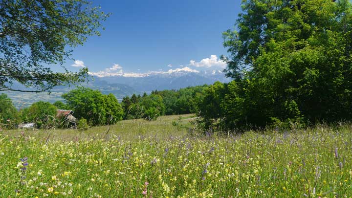 Biodiversité et corridors